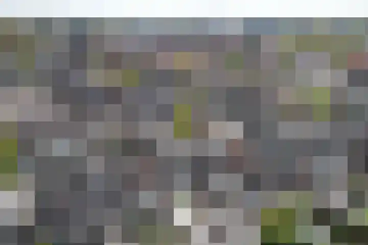 Meidoornstraat 31 Best thumbnail 29