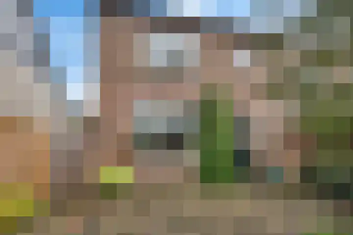 Meidoornstraat 32 Hillegom thumbnail 21