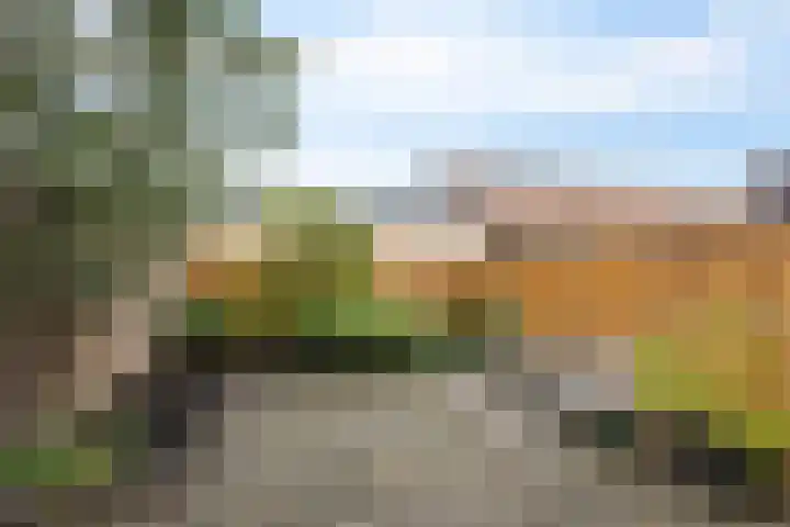 Meidoornstraat 32 Hillegom thumbnail 22