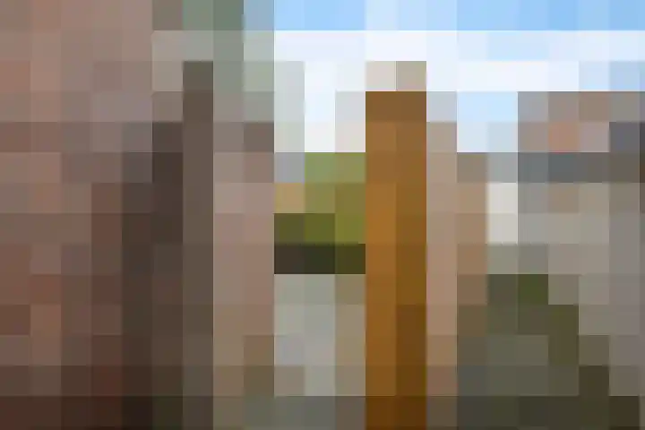 Meidoornstraat 32 Hillegom thumbnail 24