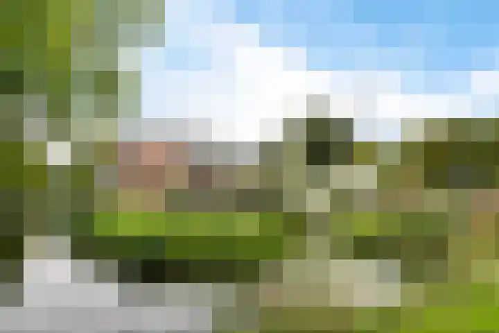 Meidoornstraat 32 Hillegom thumbnail 26