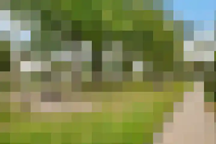 Meidoornstraat 32 Hillegom thumbnail 27