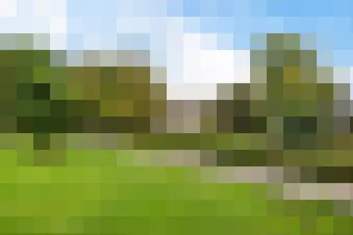Meidoornstraat 32 Hillegom thumbnail 28