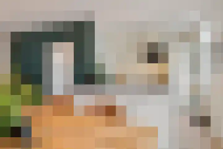 Meidoornstraat 32 Hillegom thumbnail 7