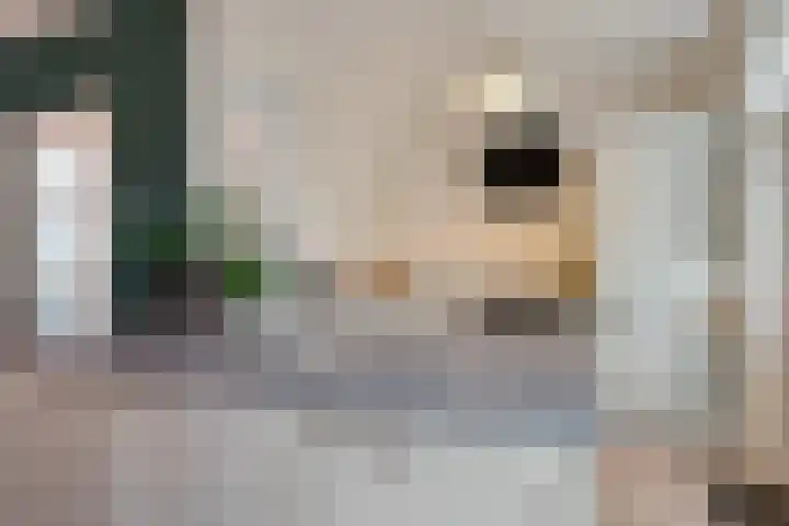 Meidoornstraat 32 Hillegom thumbnail 8
