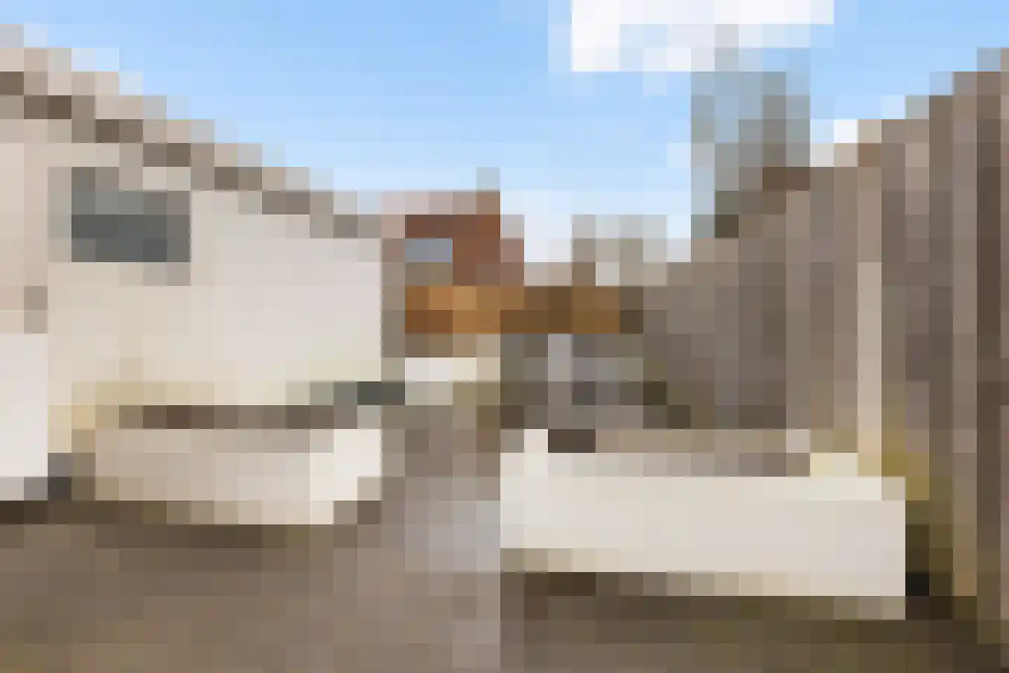 Meidoornstraat 32 Wezep thumbnail 43