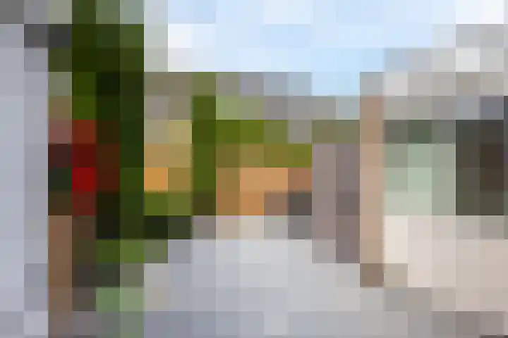 Meidoornstraat 34 Woerden thumbnail 26