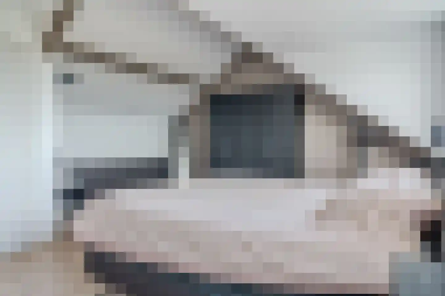 Meidoornstraat 35 Bleiswijk thumbnail 23
