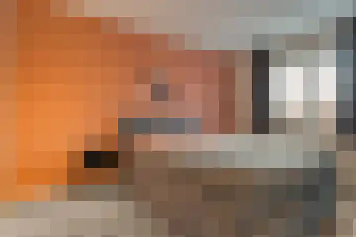 Meidoornstraat 35 Lutten thumbnail 20