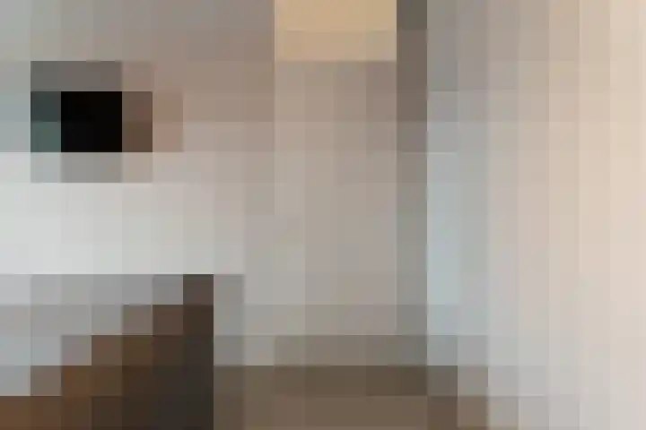 Meidoornstraat 35 Lutten thumbnail 21