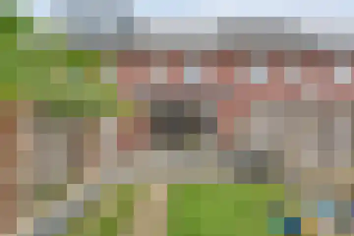 Meidoornstraat 35 Lutten thumbnail 39