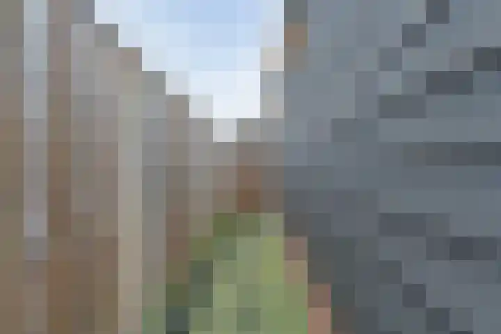 Meidoornstraat 35 Lutten thumbnail 40
