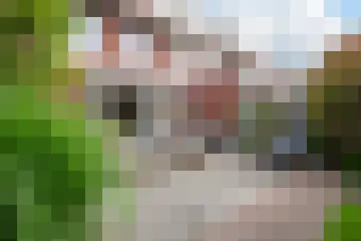 Meidoornstraat 36 Malden thumbnail 33