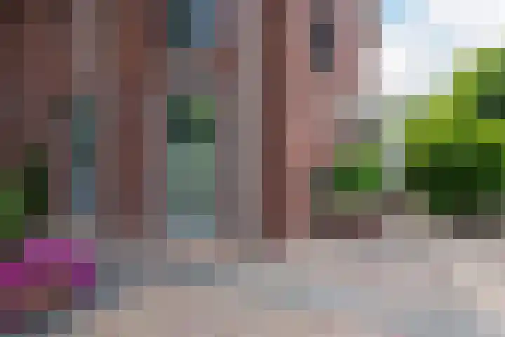 Meidoornstraat 36 Malden thumbnail 4