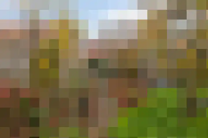 Meidoornstraat 36 Stellendam thumbnail 36