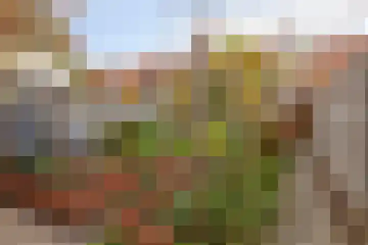 Meidoornstraat 36 Stellendam thumbnail 39