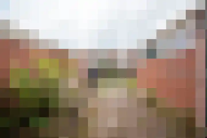 Meidoornstraat 39 Winterswijk thumbnail 6