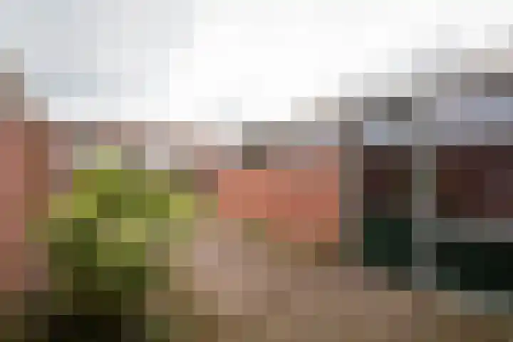 Meidoornstraat 39 Winterswijk thumbnail 8