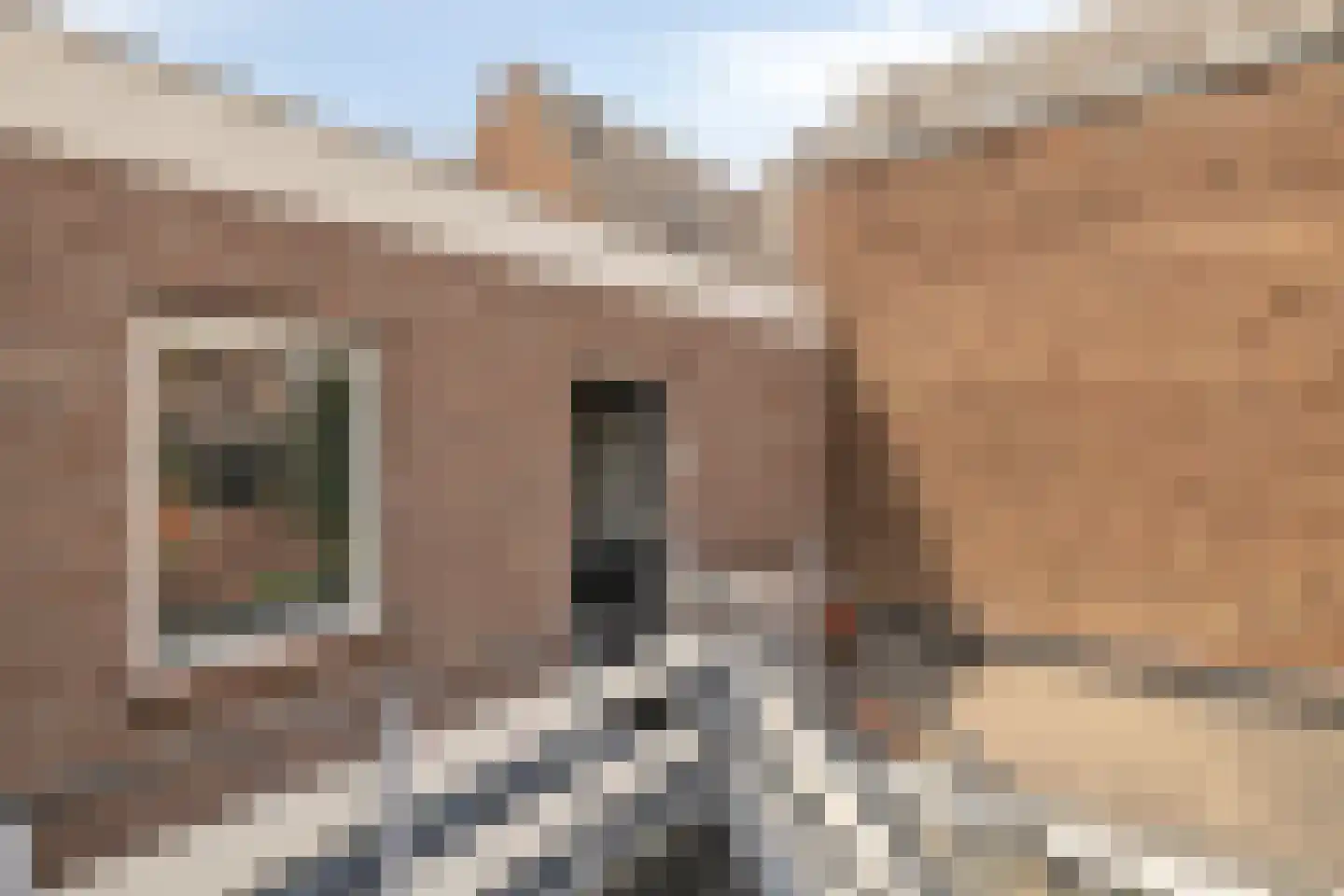 Meidoornstraat 4 B 's-Hertogenbosch thumbnail 6