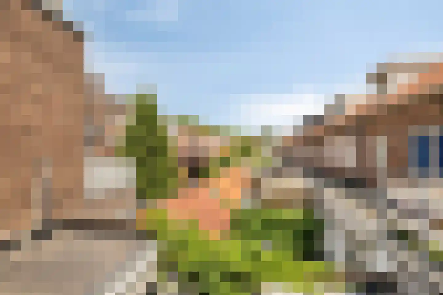 Meidoornstraat 4 B 's-Hertogenbosch thumbnail 7