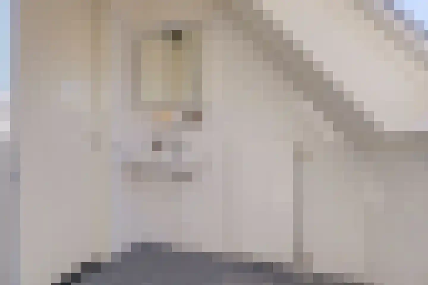 Meidoornstraat 4 Maurik thumbnail 19