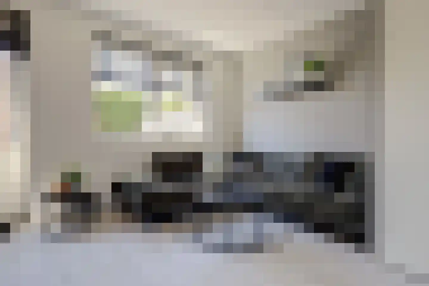 Meidoornstraat 4 Maurik thumbnail 7