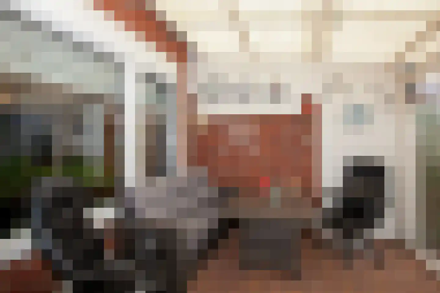 Meidoornstraat 40 Winterswijk thumbnail 20