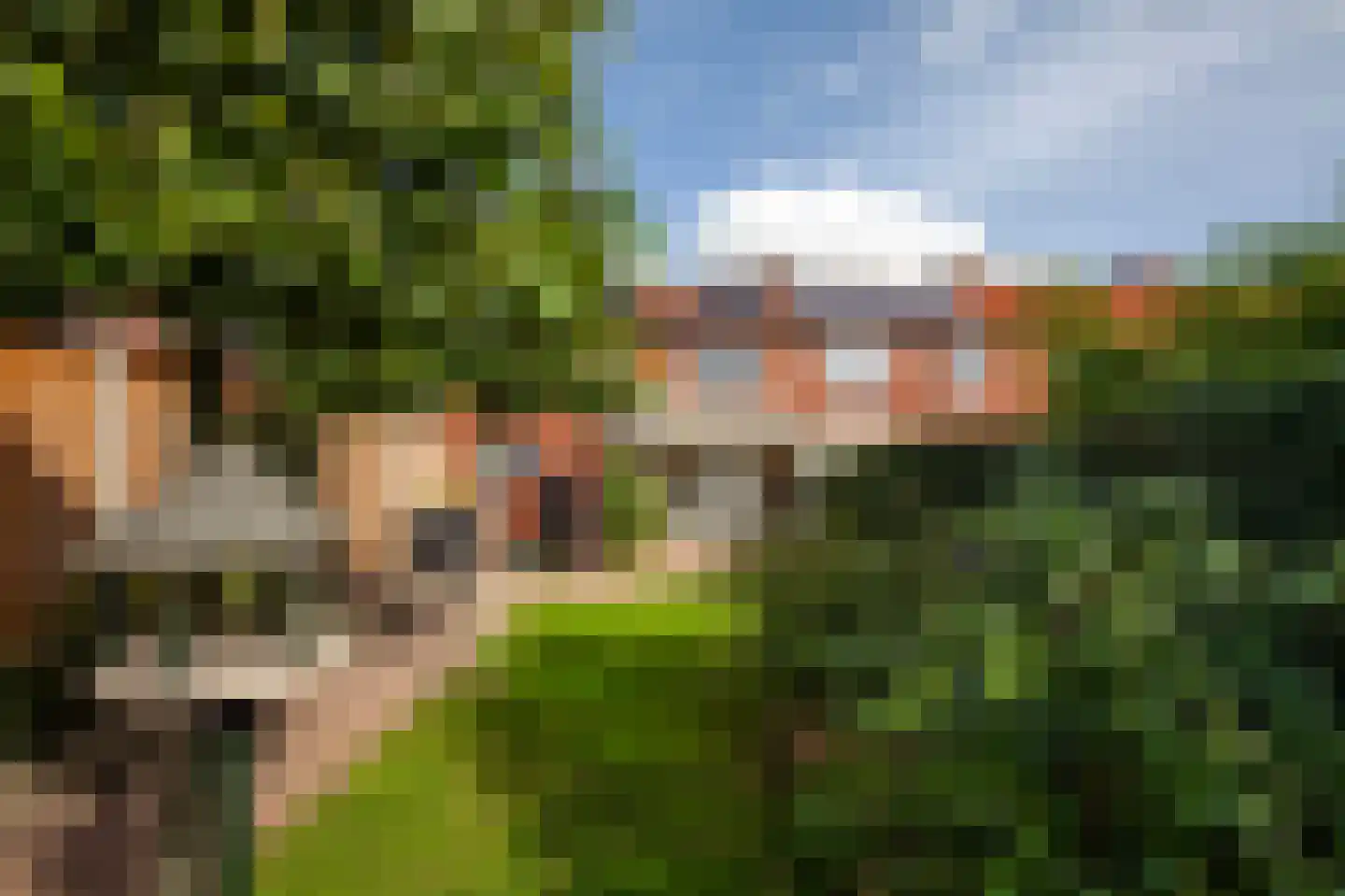 Meidoornstraat 40 Winterswijk thumbnail 5