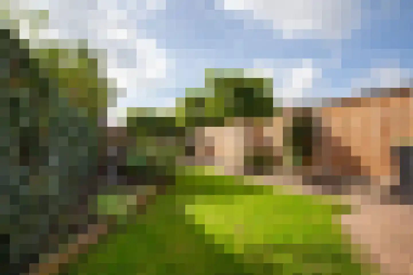 Meidoornstraat 40 Winterswijk thumbnail 8