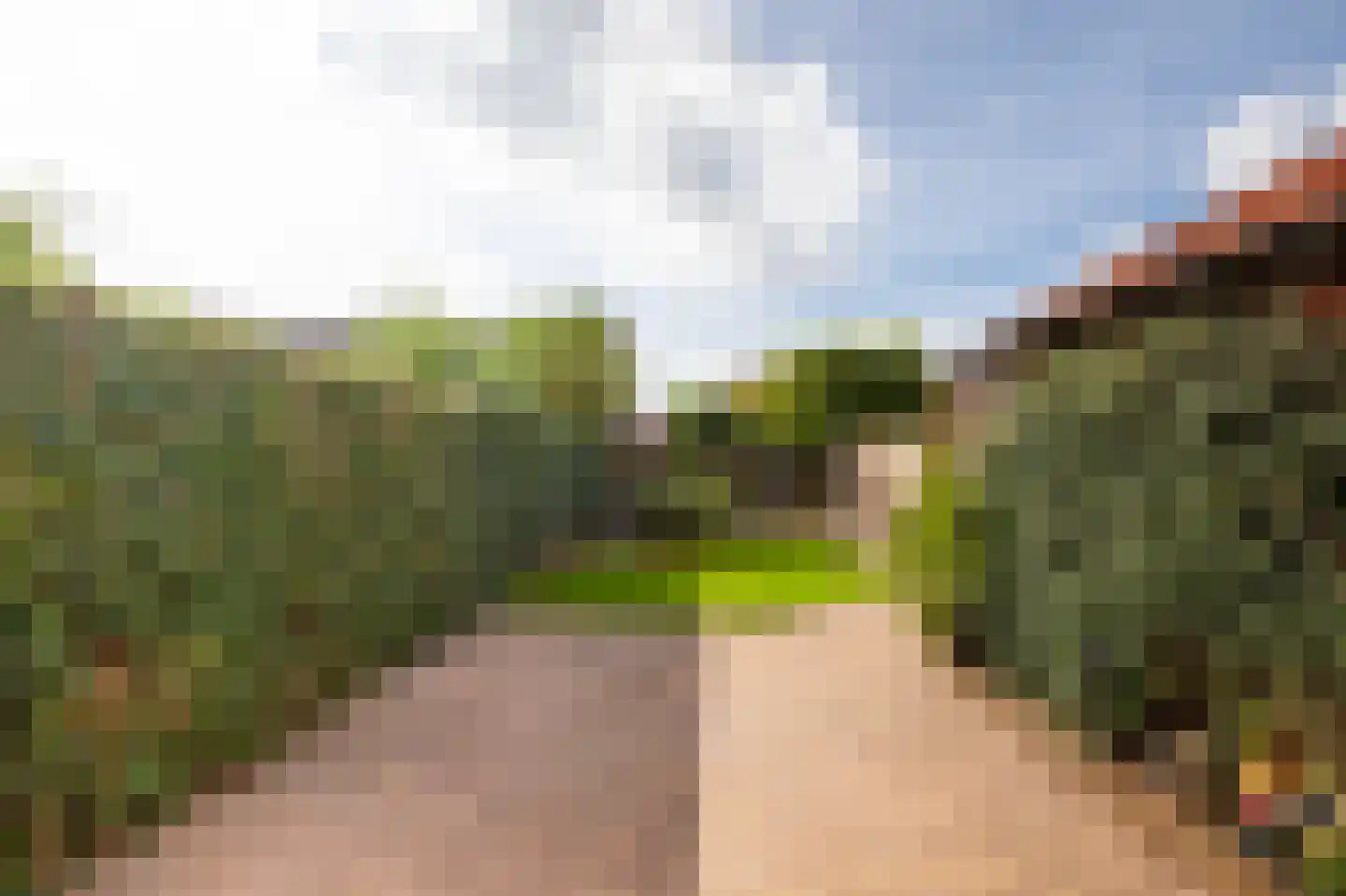 Meidoornstraat 40 Winterswijk thumbnail 9