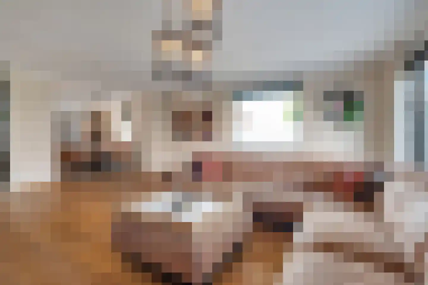Meidoornstraat 41 Losser thumbnail 12