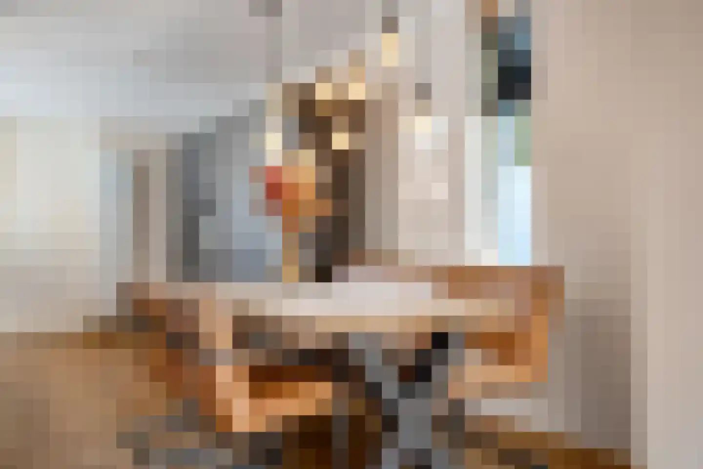 Meidoornstraat 41 Losser thumbnail 15