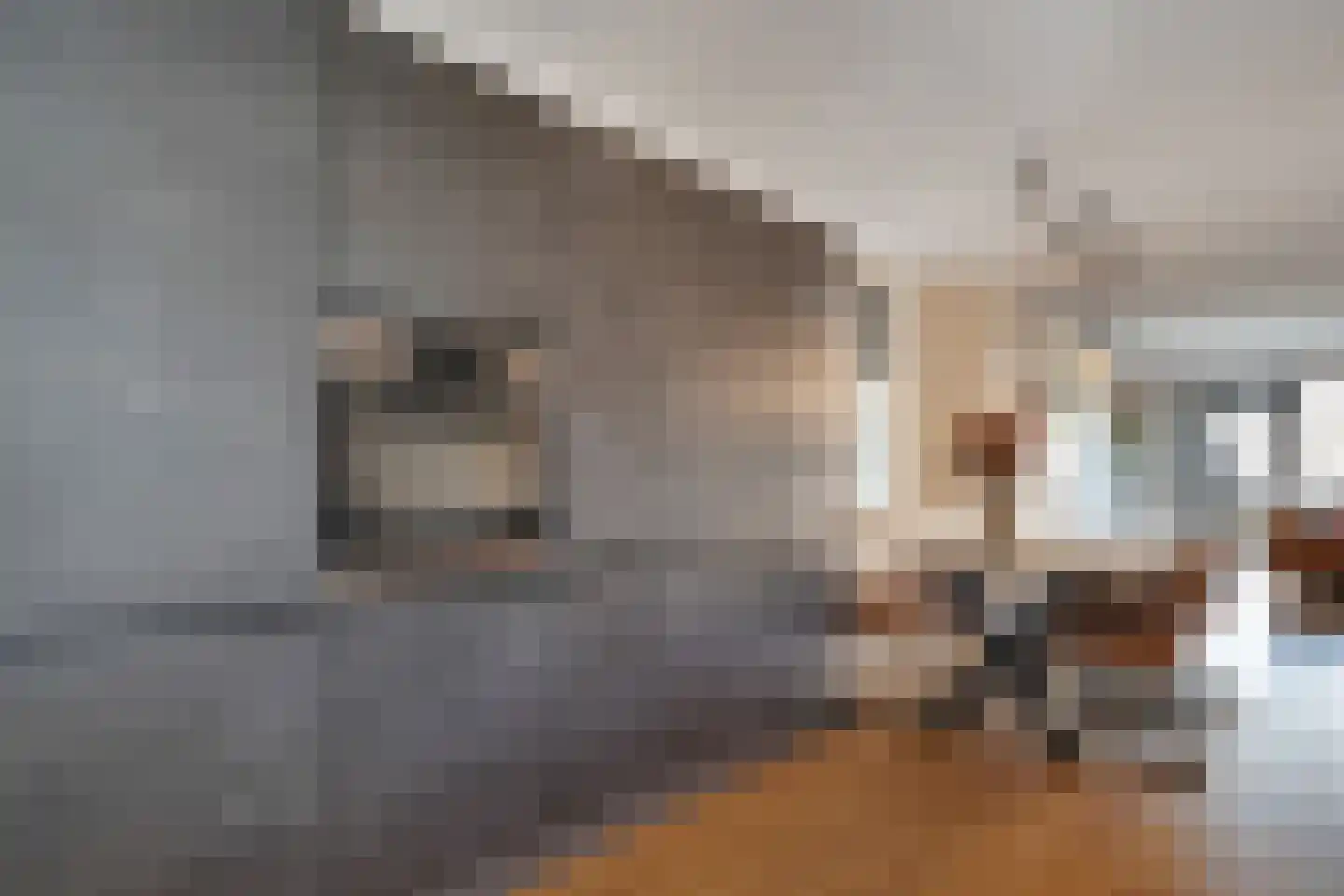 Meidoornstraat 41 Losser thumbnail 20