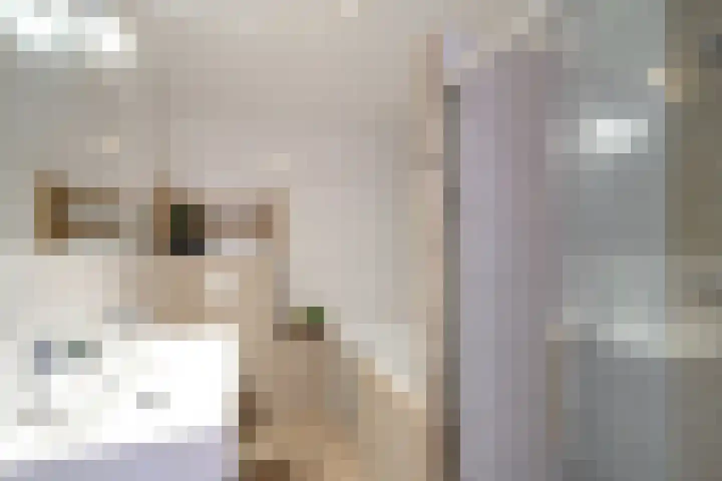 Meidoornstraat 41 Losser thumbnail 24