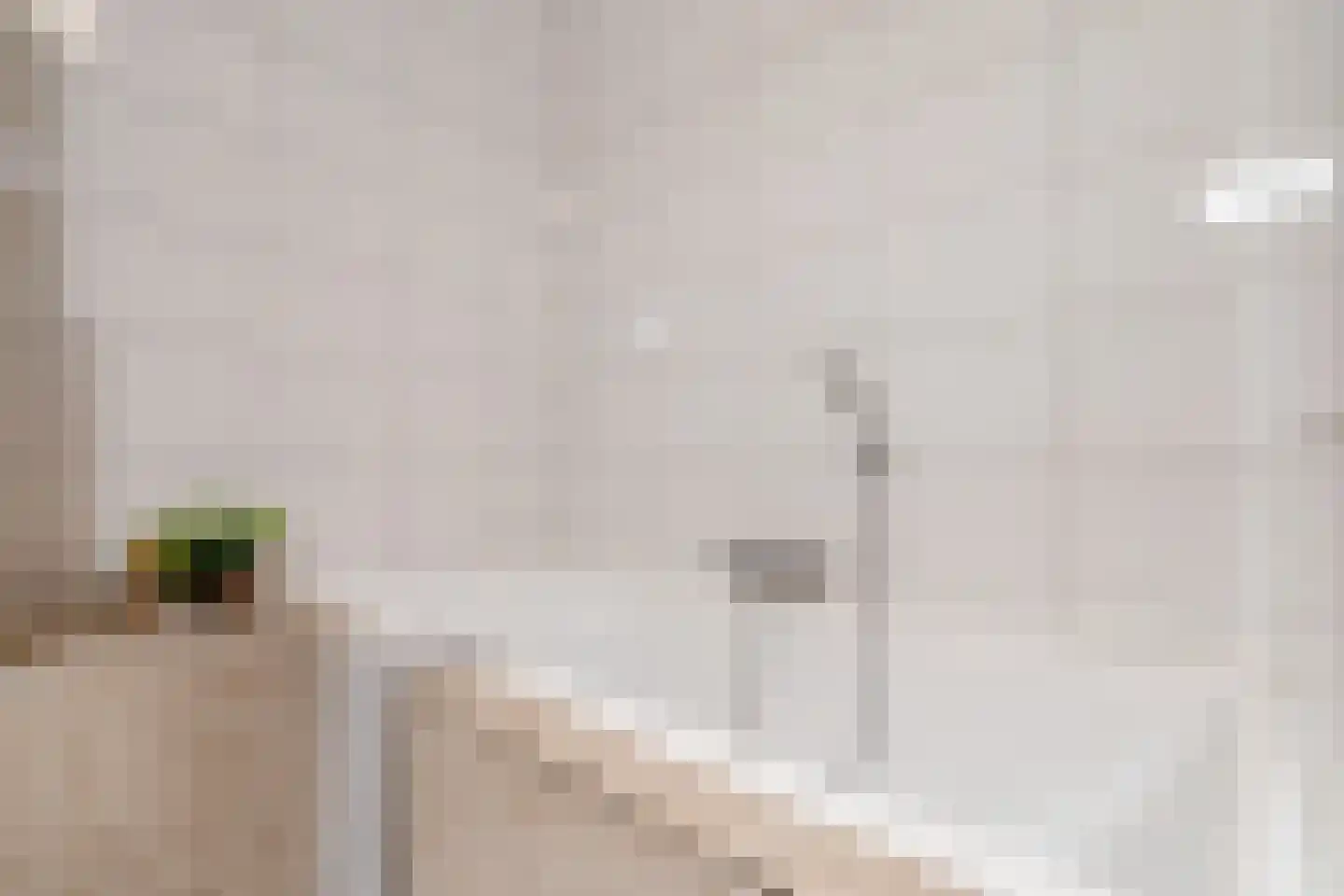 Meidoornstraat 41 Losser thumbnail 25