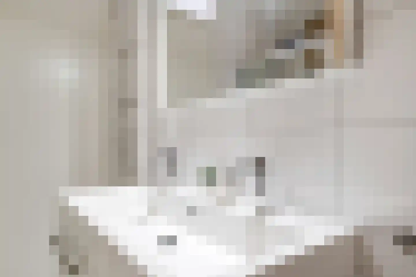 Meidoornstraat 41 Losser thumbnail 26