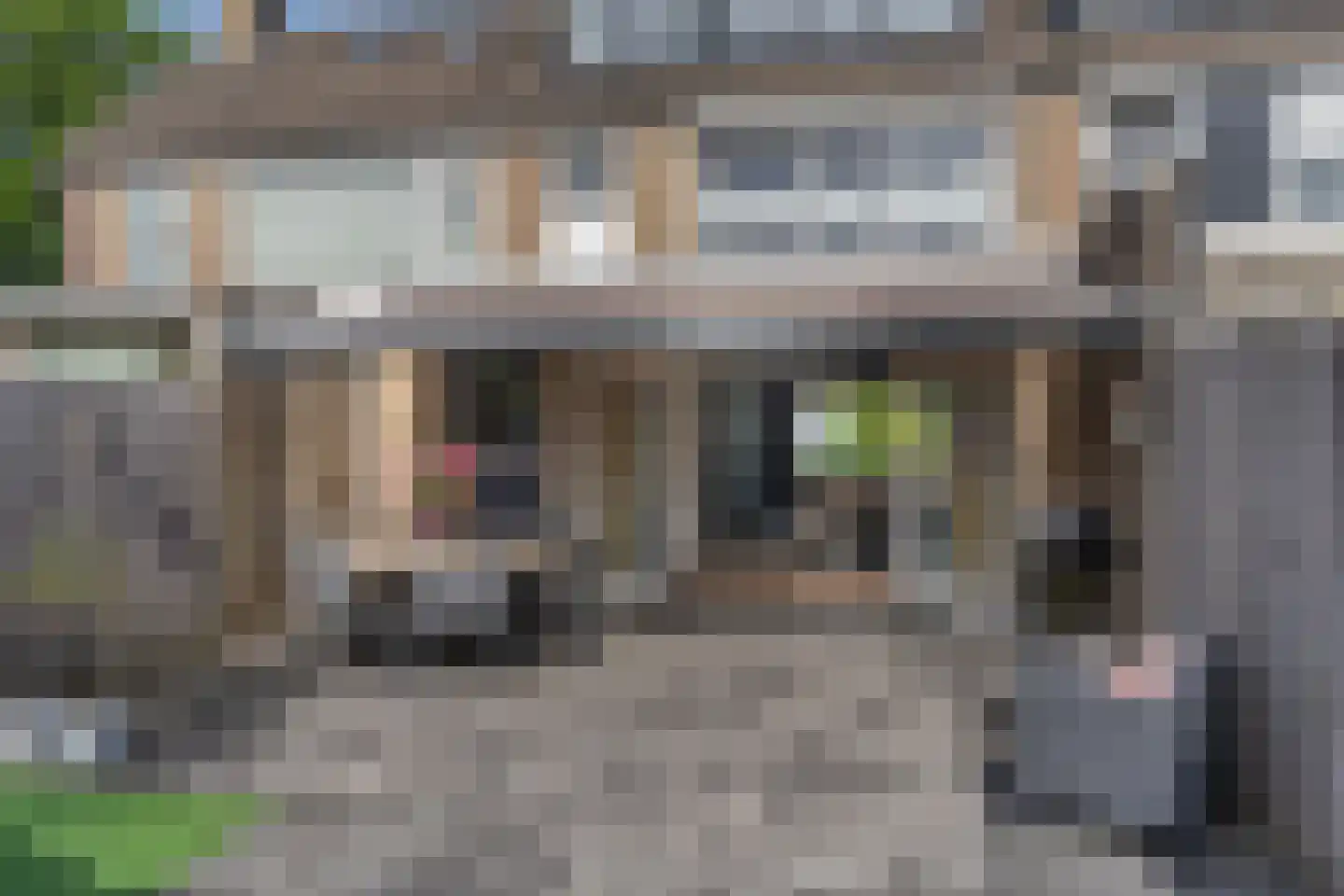 Meidoornstraat 41 Sint-Michielsgestel thumbnail 25