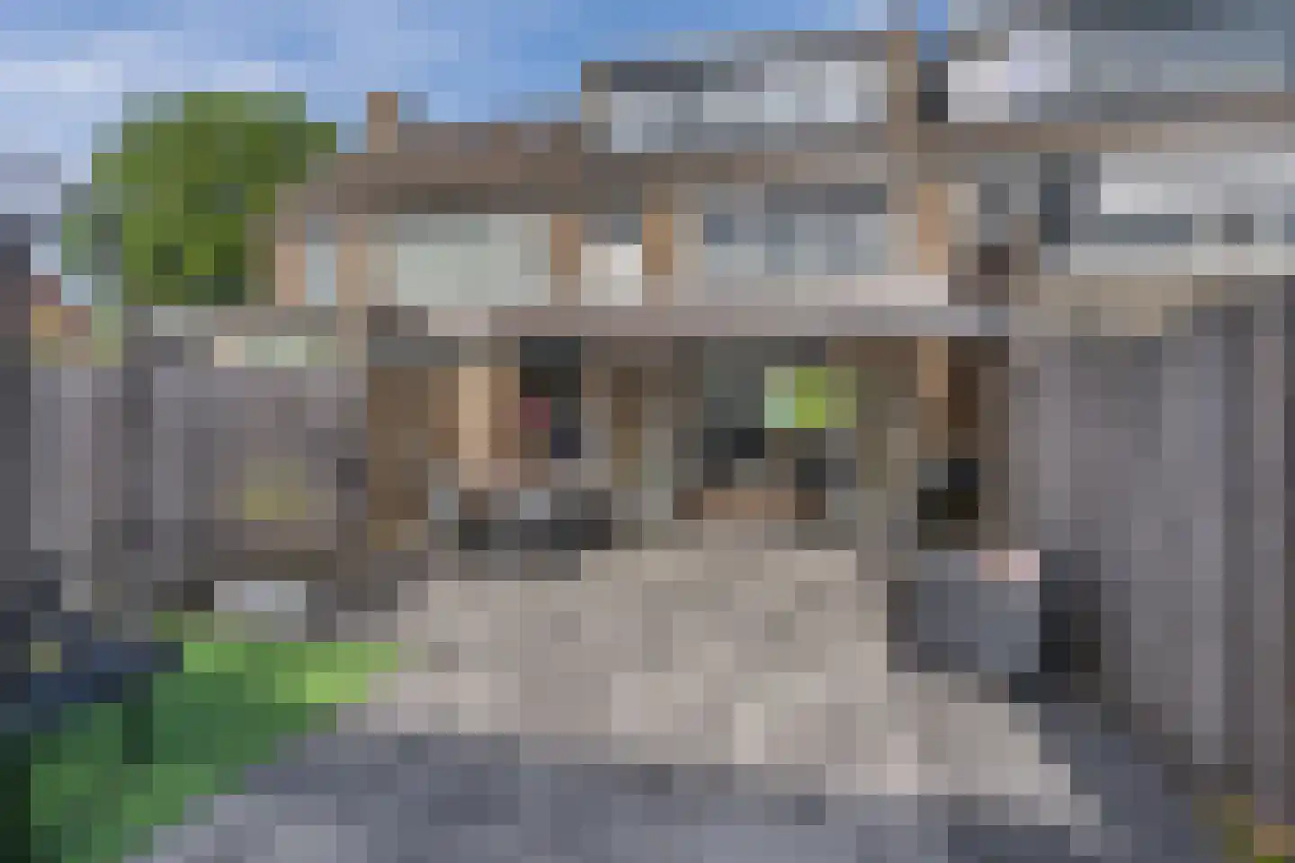 Meidoornstraat 41 Sint-Michielsgestel thumbnail 26