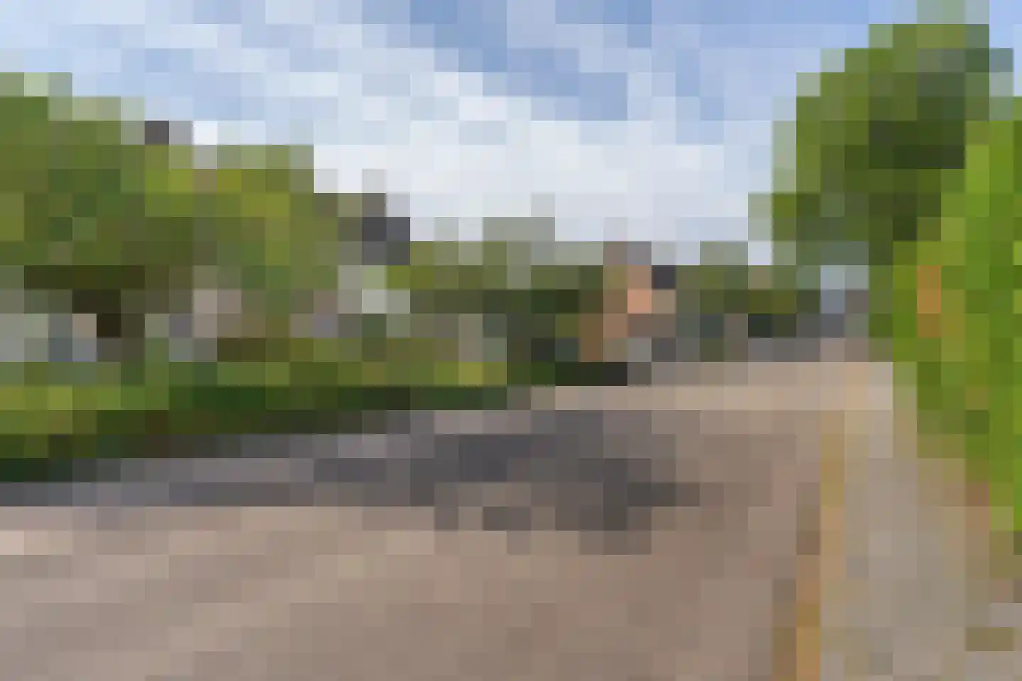 Meidoornstraat 41 Sint-Michielsgestel thumbnail 5