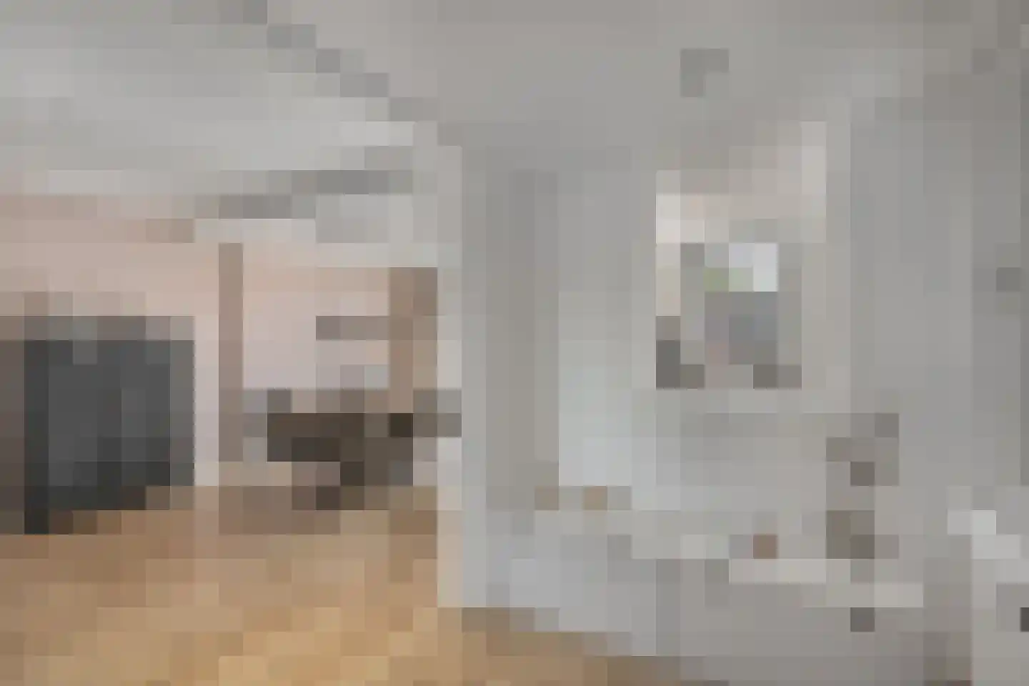 Meidoornstraat 41 Sint-Michielsgestel thumbnail 9
