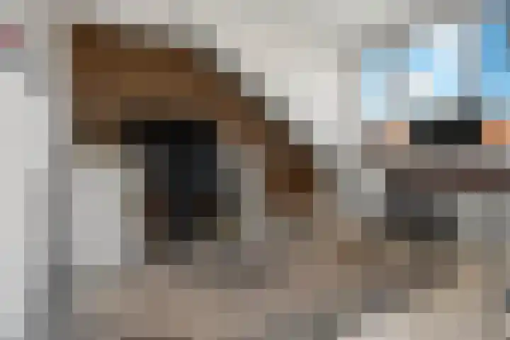 Meidoornstraat 42 Zaandam thumbnail 31