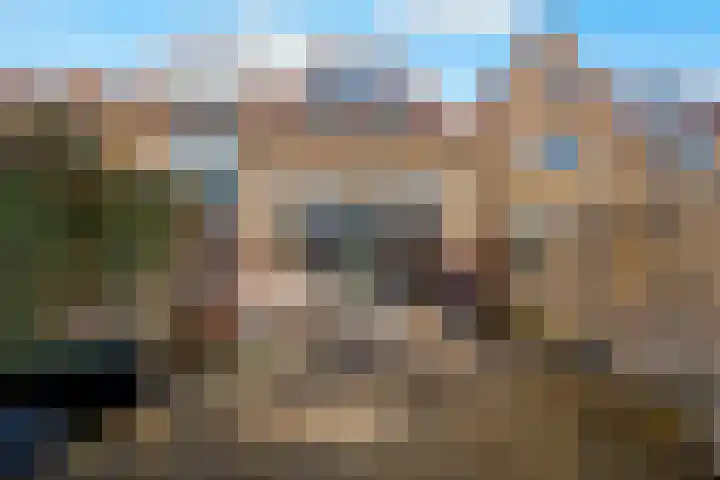 Meidoornstraat 42 Zaandam thumbnail 36