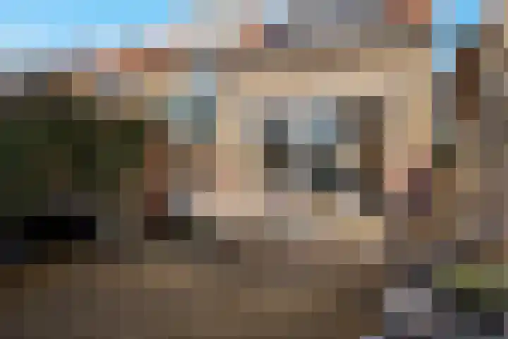 Meidoornstraat 42 Zaandam thumbnail 37