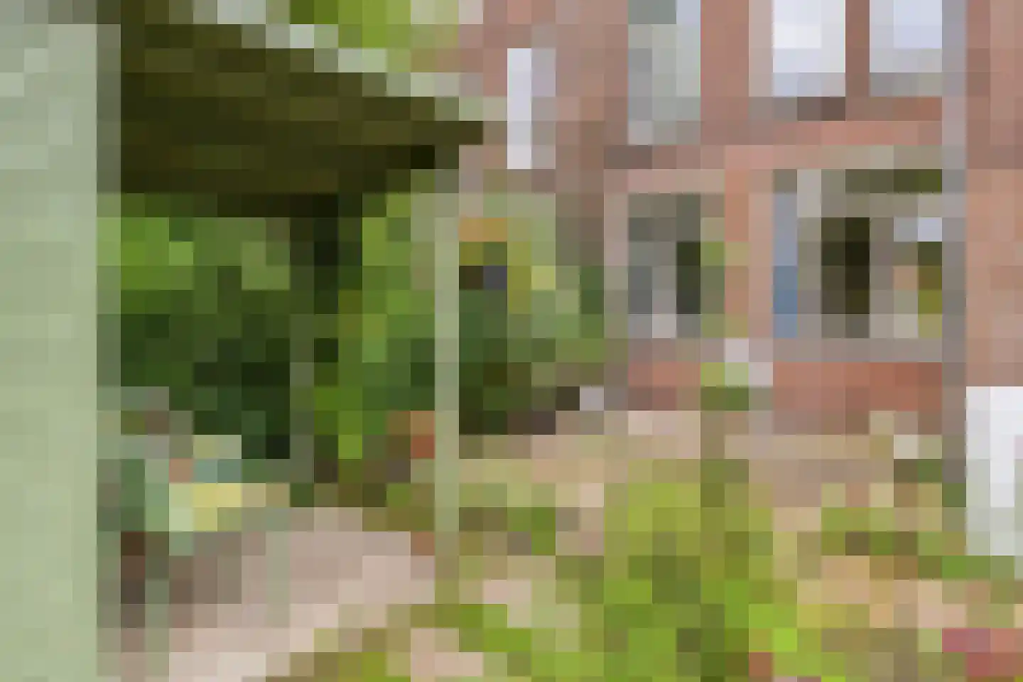 Meidoornstraat 44 Den Haag thumbnail 23