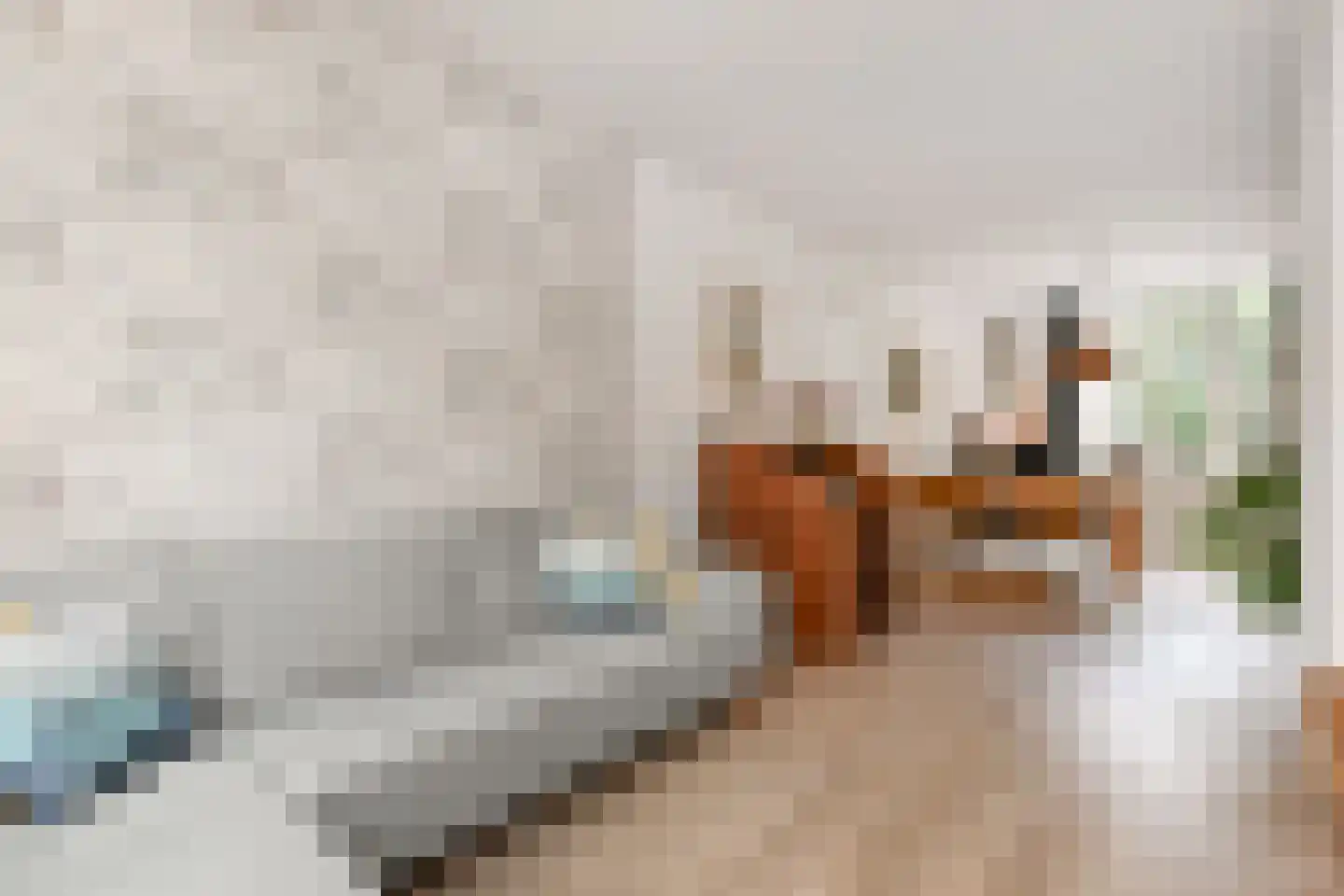 Meidoornstraat 44 Den Haag thumbnail 8