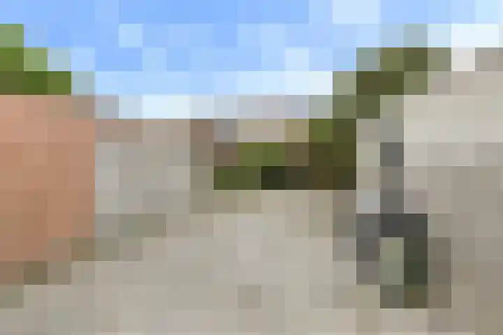 Meidoornstraat 5 A Breda thumbnail 25