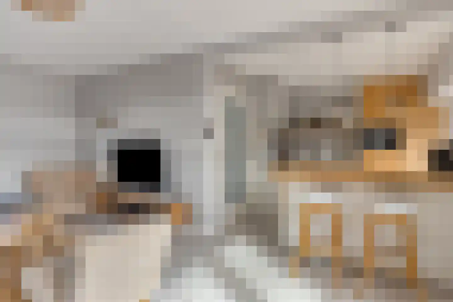 Meidoornstraat 5 Aalten thumbnail 6