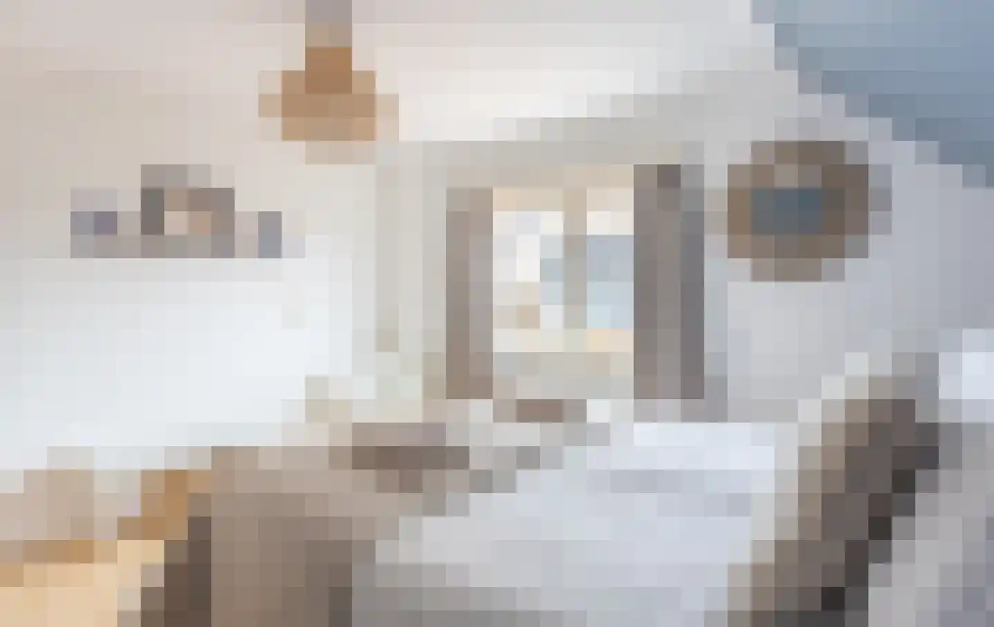 Meidoornstraat 5 Cadzand thumbnail 4