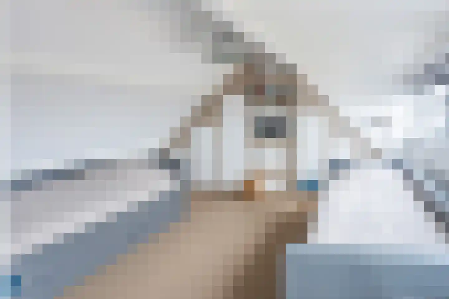 Meidoornstraat 5 Cadzand thumbnail 41