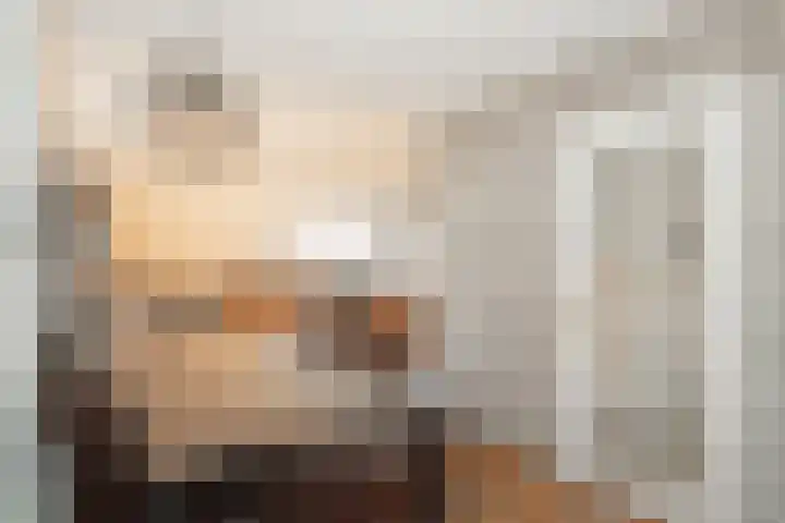 Meidoornstraat 5 Epe thumbnail 12